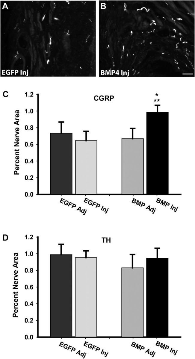 Figure 9.