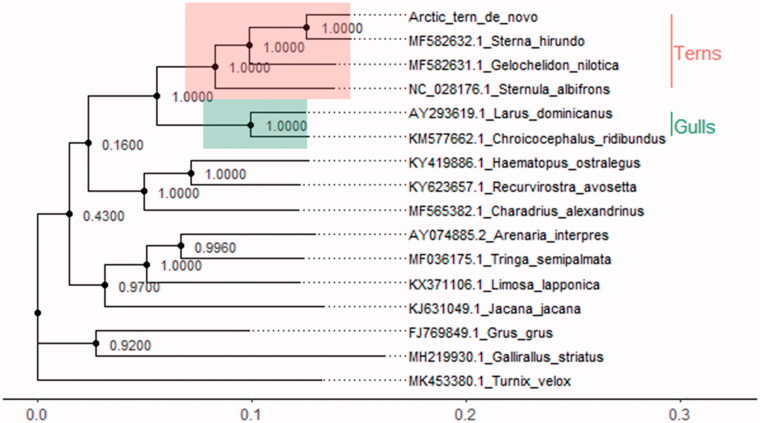 Figure 1.