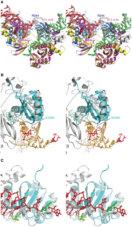 Figure 10