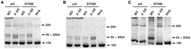 Figure 9