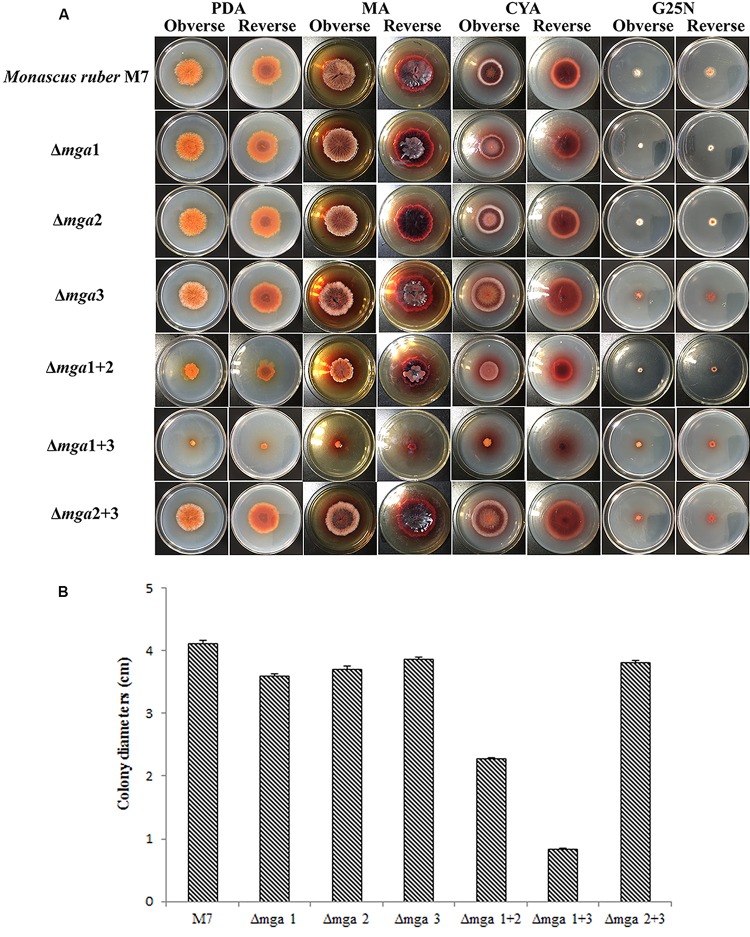 FIGURE 1