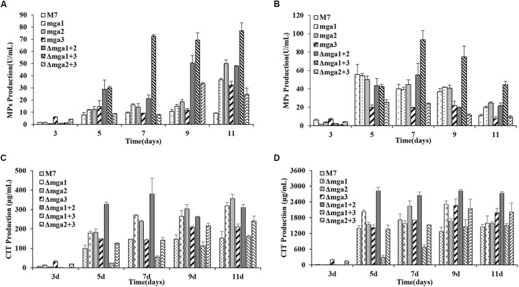 FIGURE 3