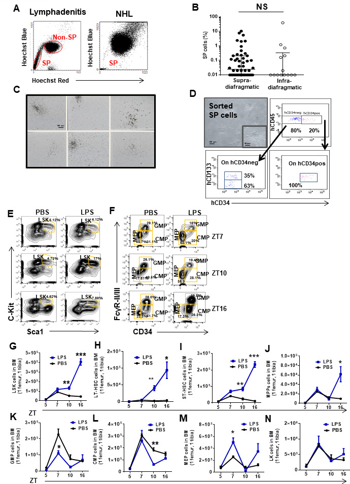 Figure 1—figure supplement 1.