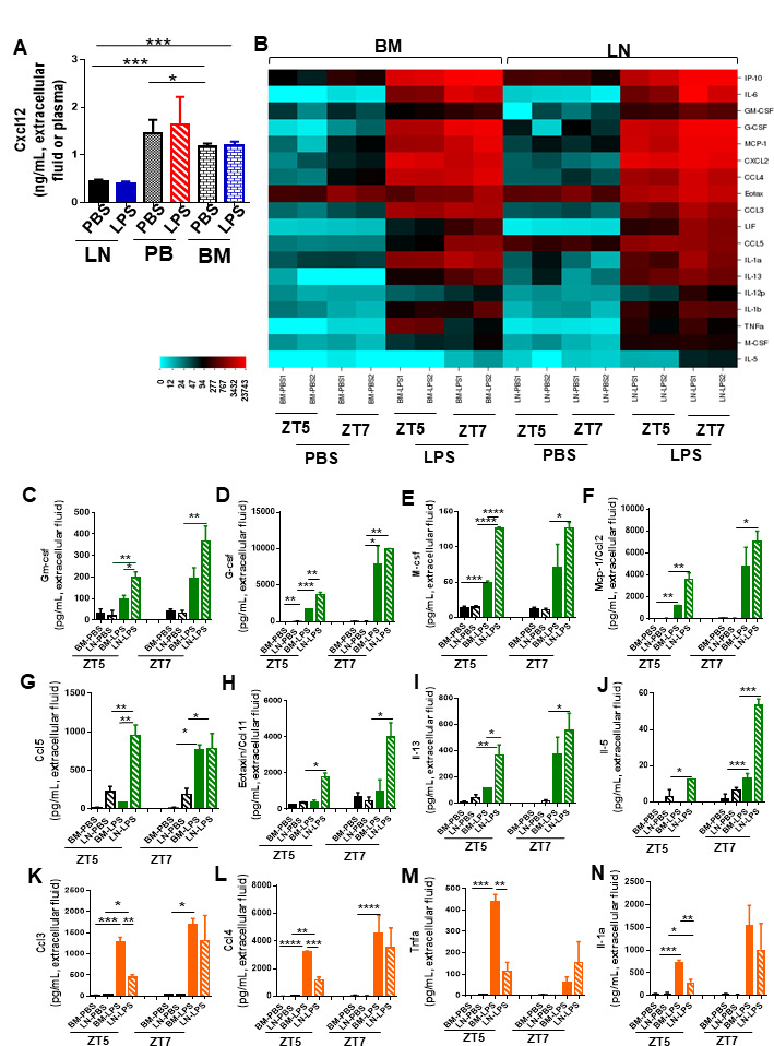 Figure 4—figure supplement 2.