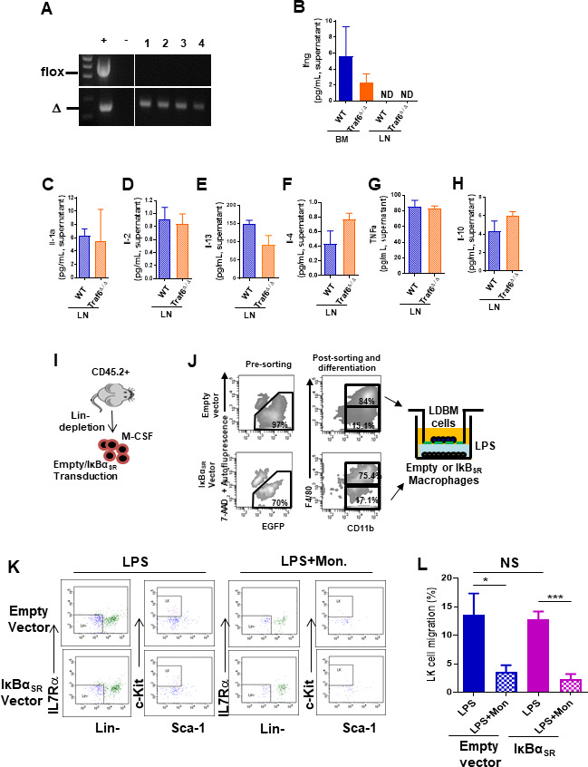 Figure 4—figure supplement 1.