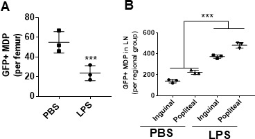 Figure 3—figure supplement 1.