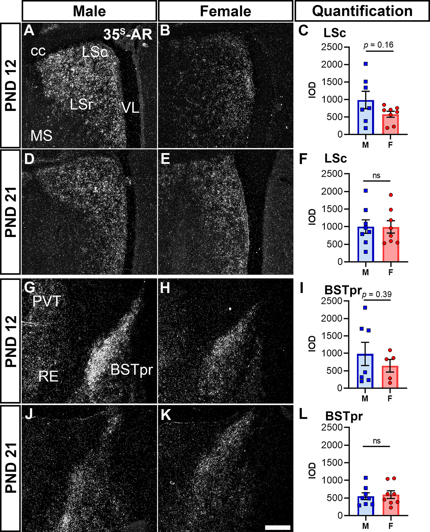 Figure 5: