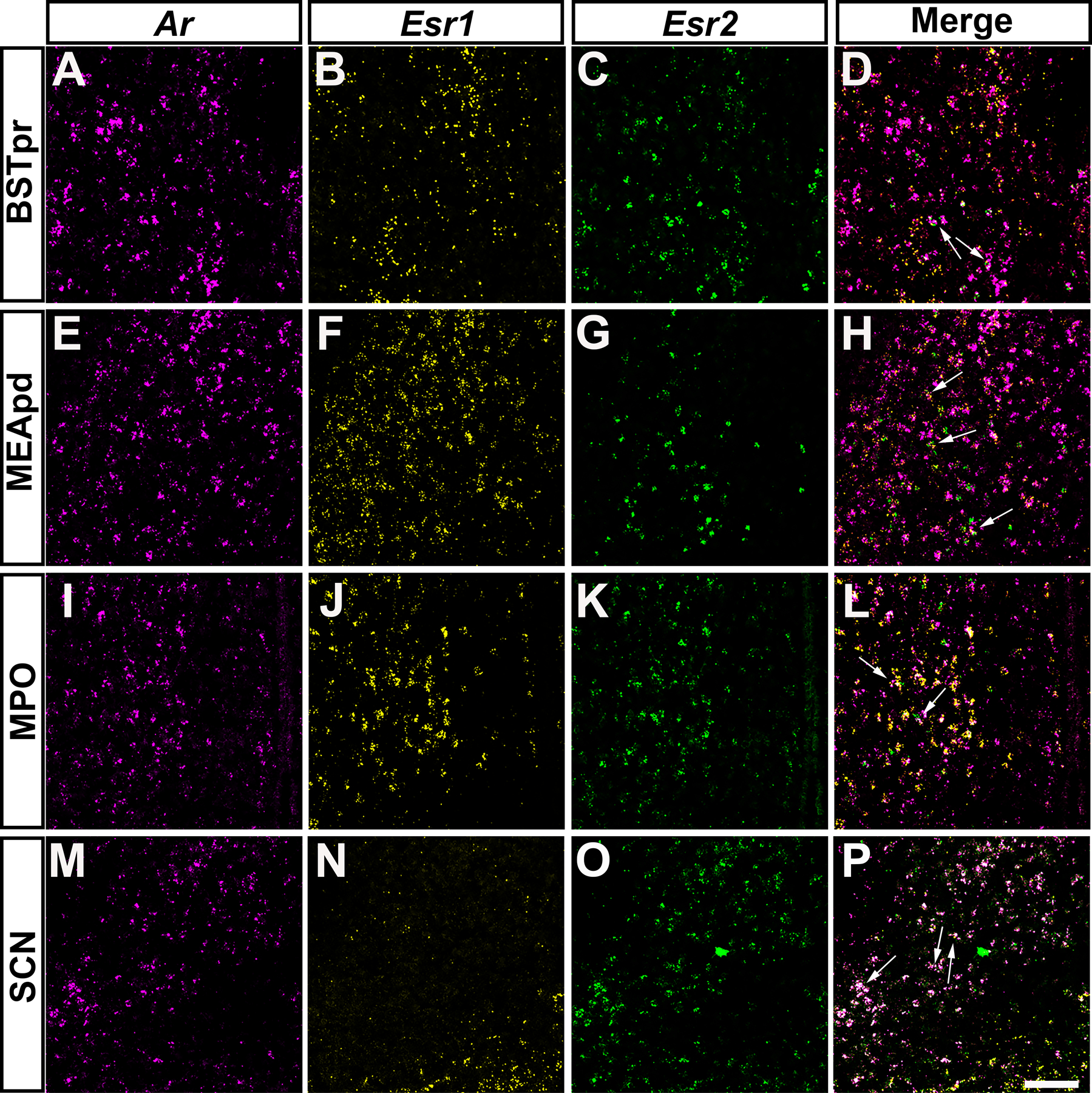 Figure 9: