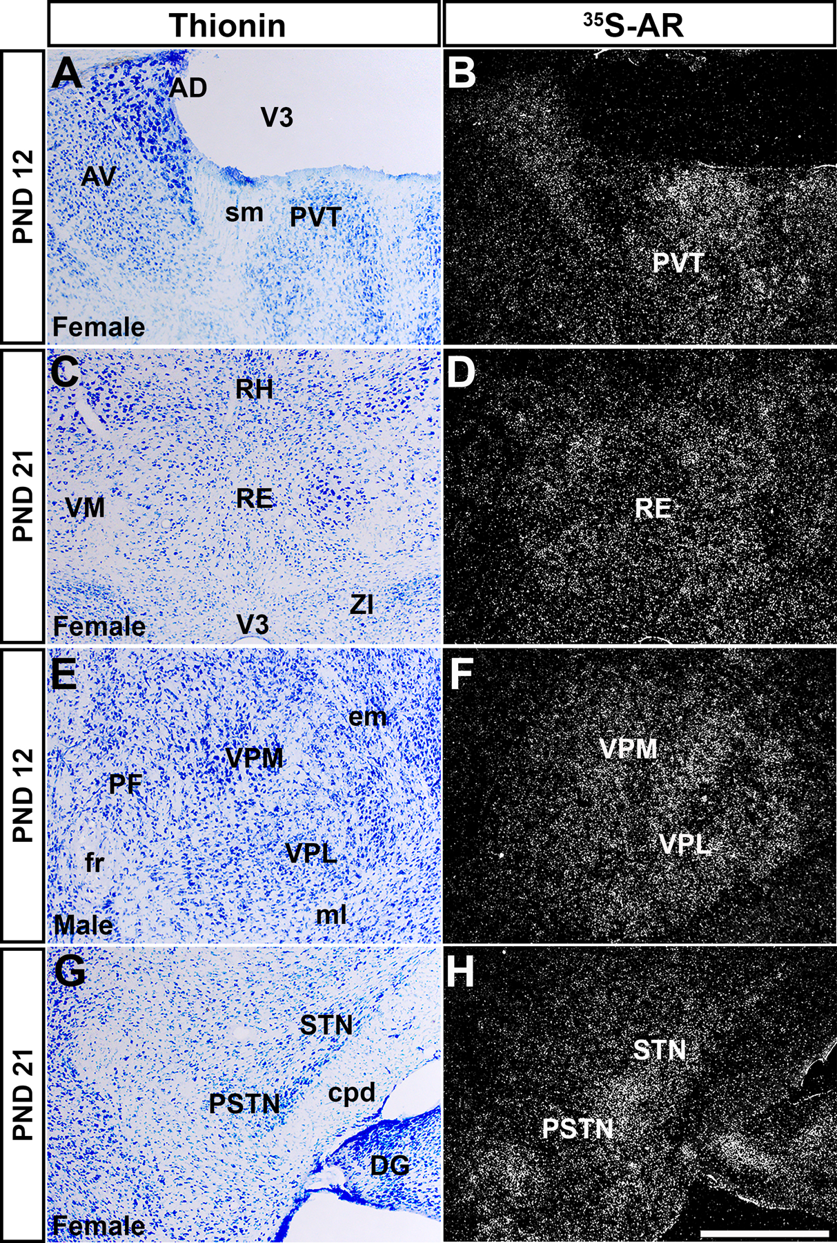 Figure 6: