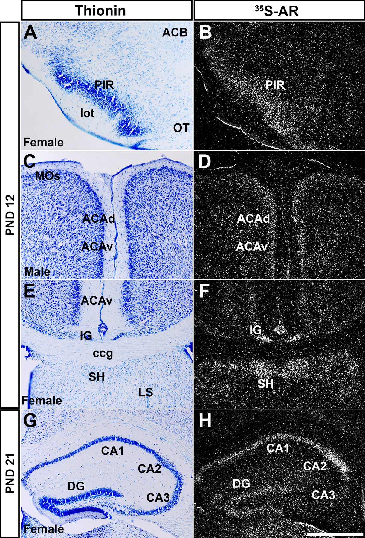 Figure 4: