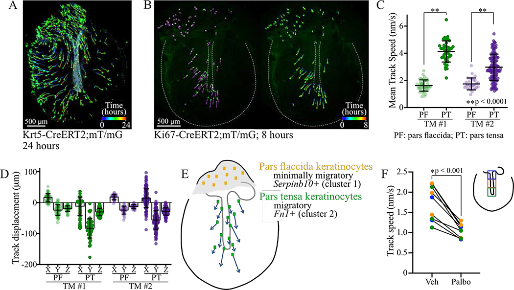 Figure 4: