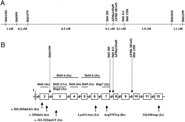 Figure  1