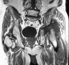 Fig. 3