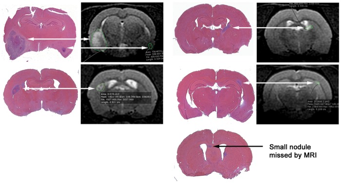 Fig. 3.