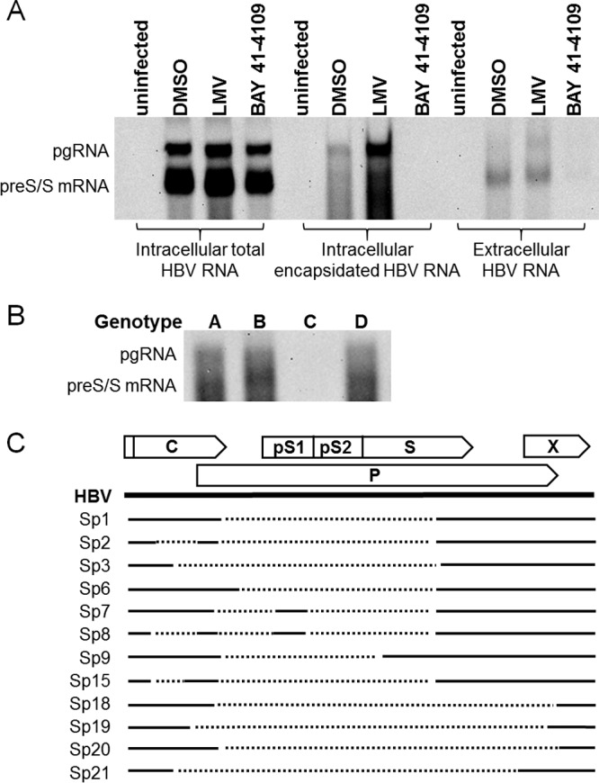 FIG 6