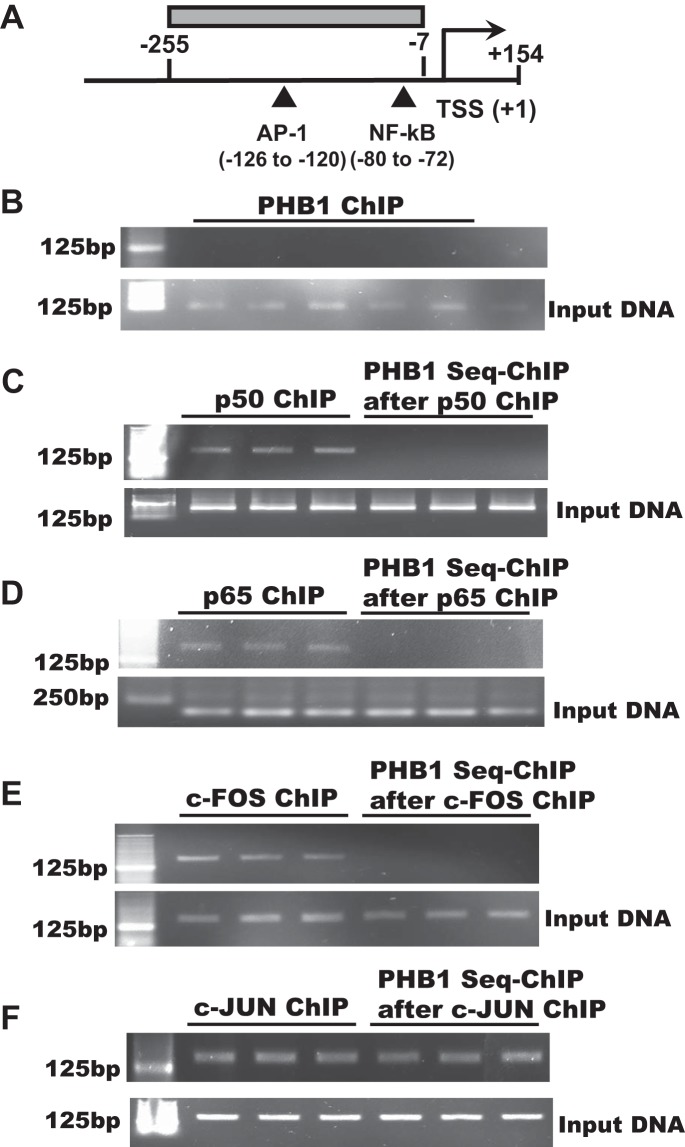 Figure 6.