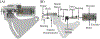 Fig. 6.