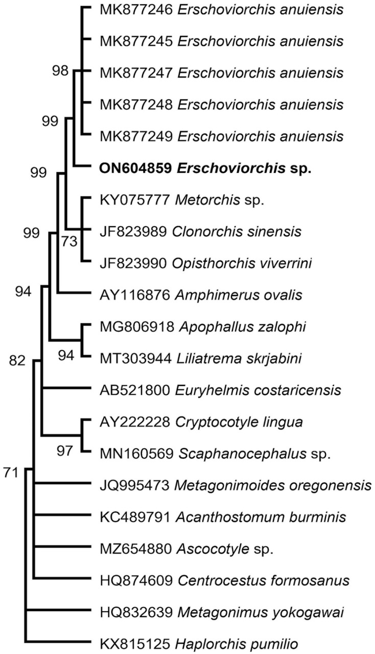 Figure 2.