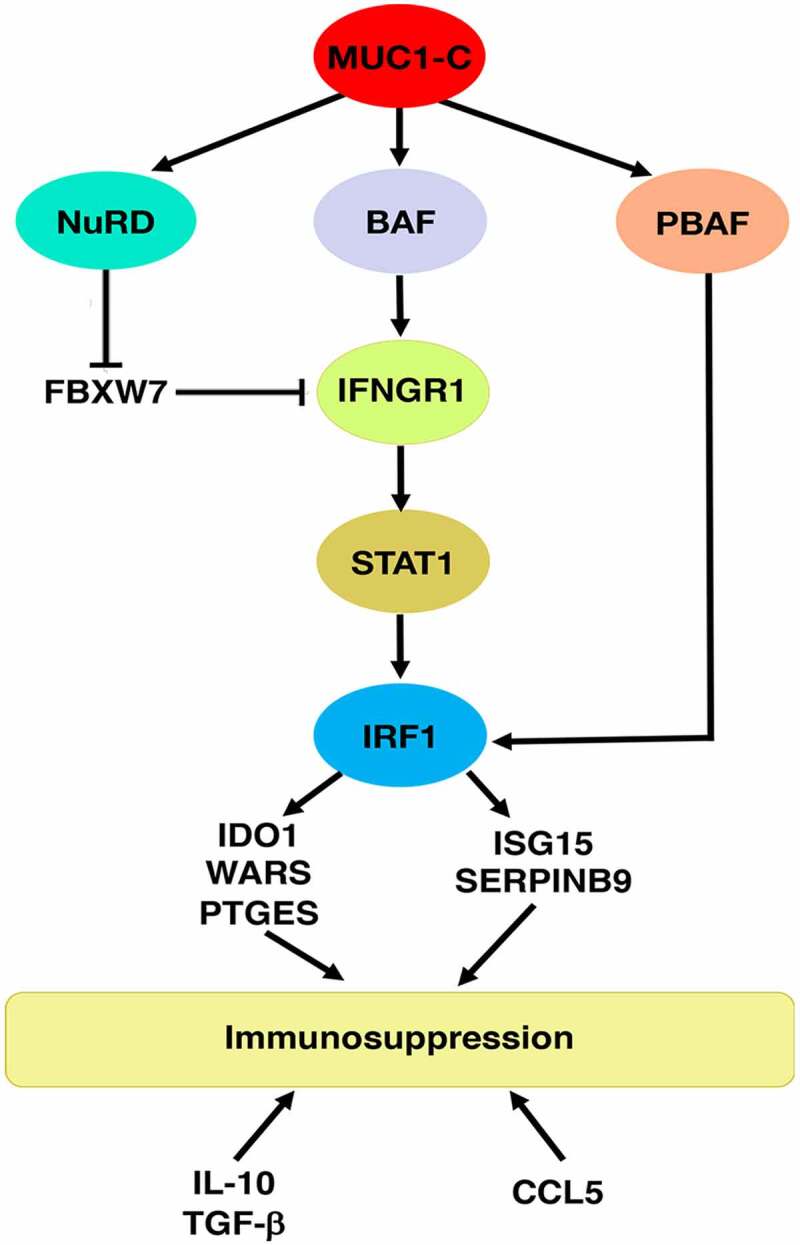 Figure 9.