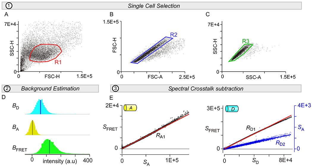 Figure 2.