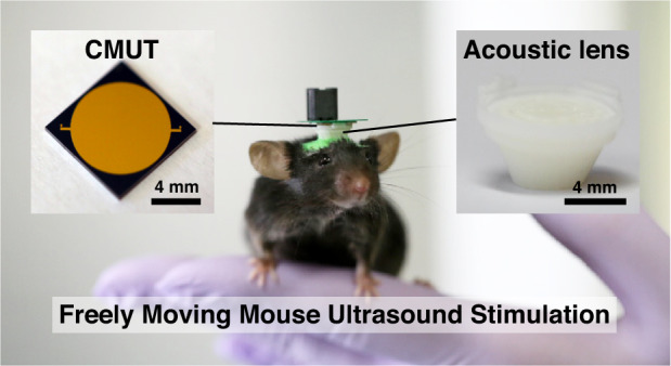 Multifocal skull-compensated transcranial focused ultrasound system for ...