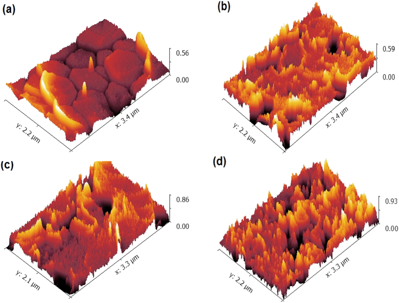 Figure 10