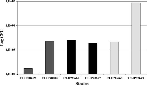 FIG. 2.