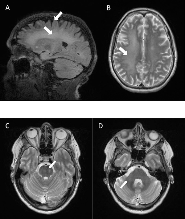 Figure 1: