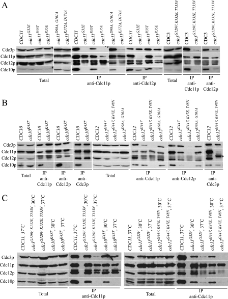 FIG. 4.