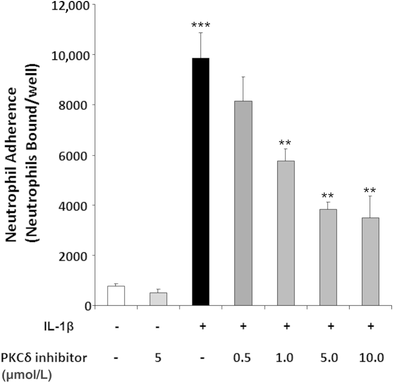 Figure 6