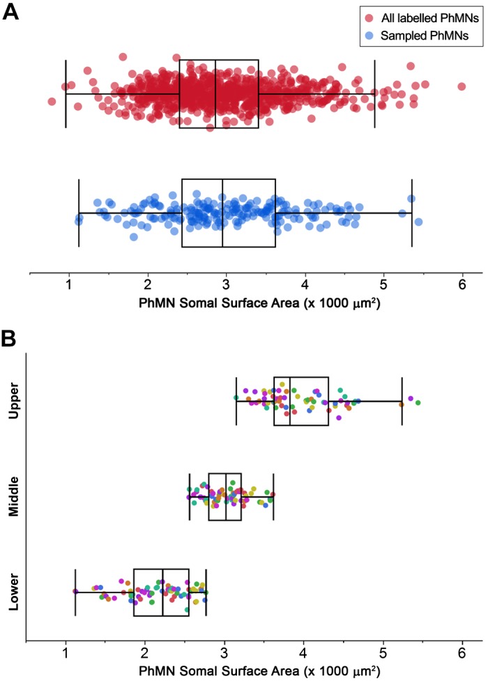 Fig. 2.