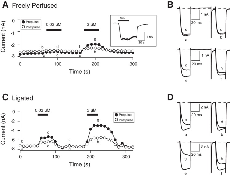 Fig. 6.