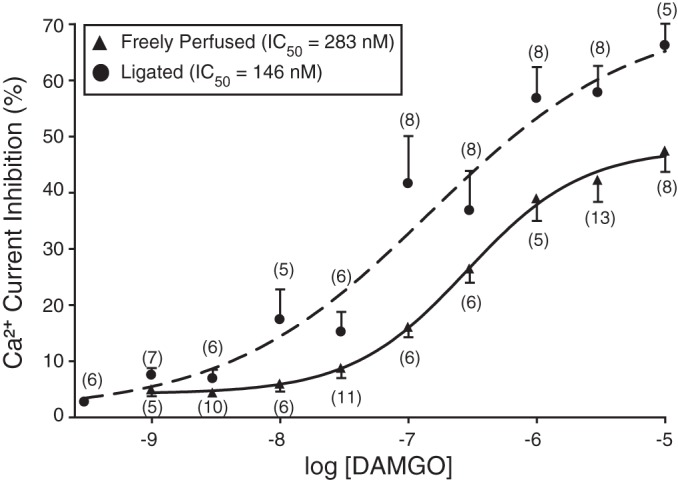 Fig. 7.