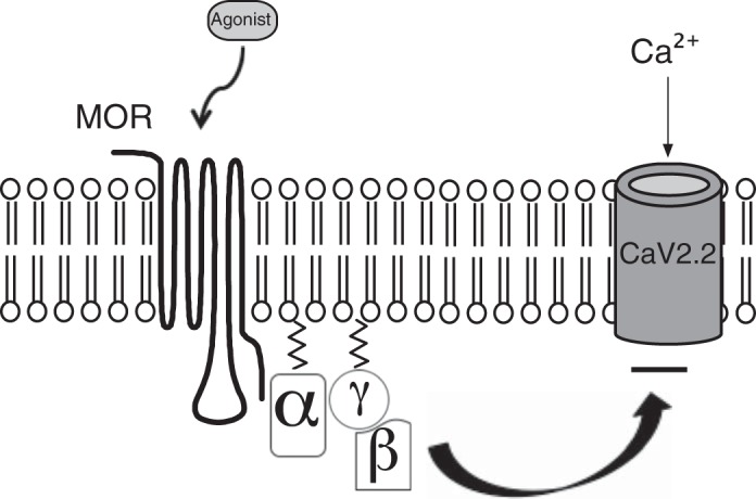 Fig. 1.