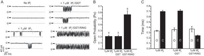 FIGURE 4.