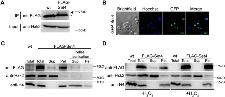 Figure 4.