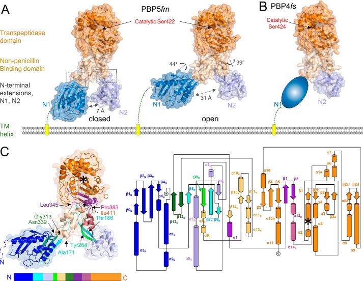 Figure 3.