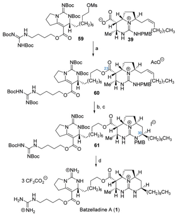 Scheme 10 a