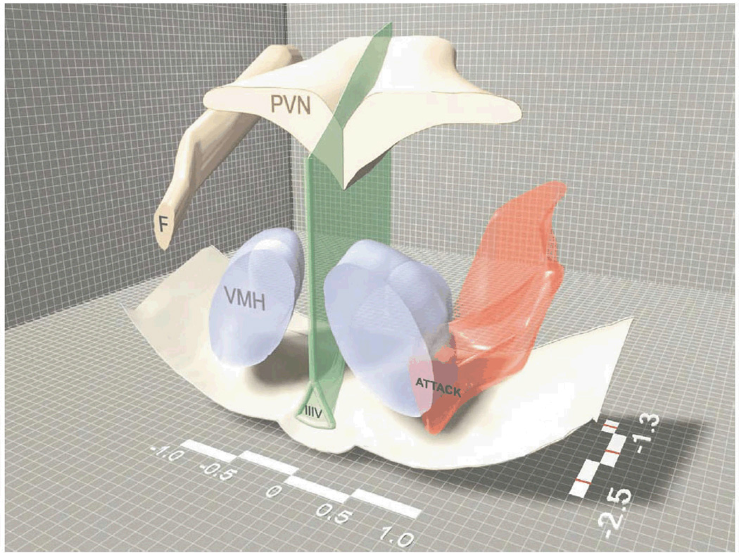 Fig. 5