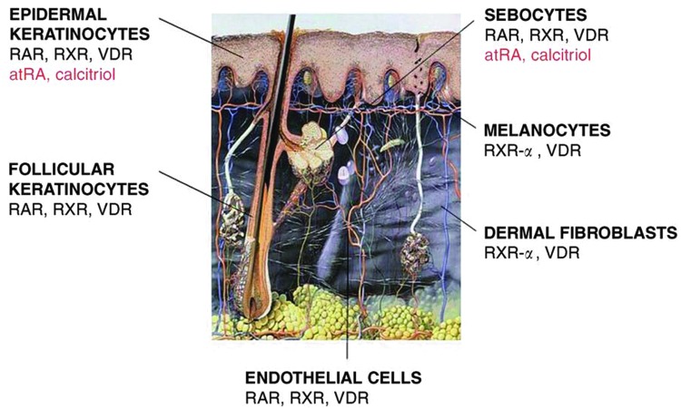 Figure 10.