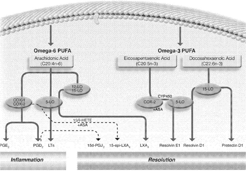 Figure 9.