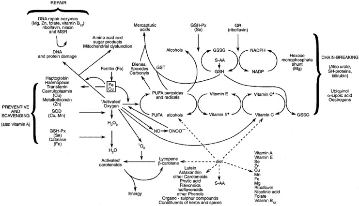 Figure 7.