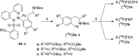 Scheme 3