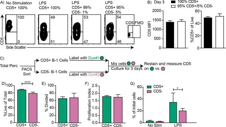 Figure 2—figure supplement 1.