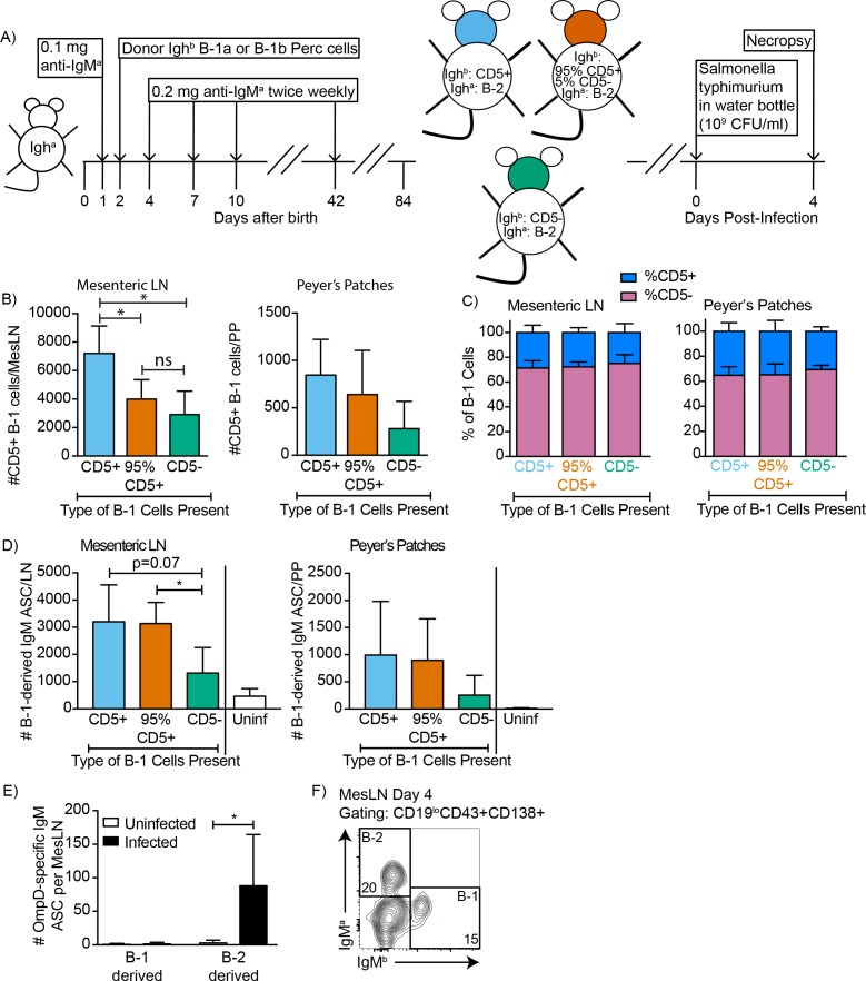 Figure 4—figure supplement 1.