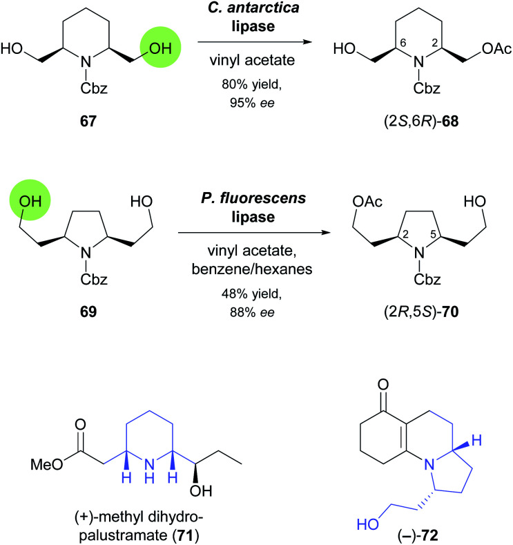 Scheme 10