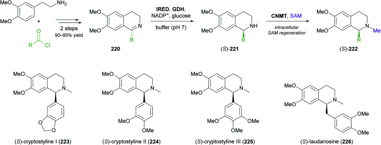 Scheme 28