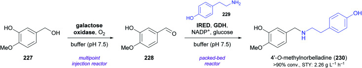 Scheme 29