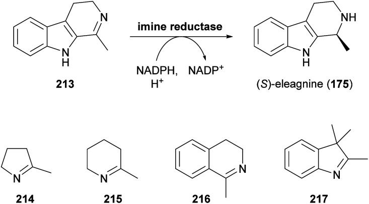 Scheme 27