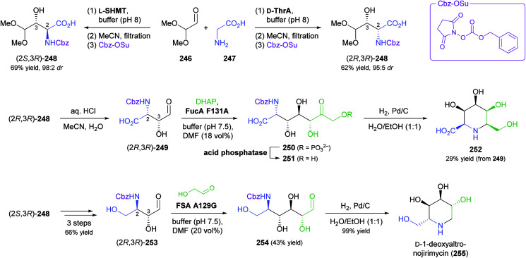 Scheme 31